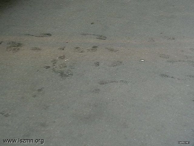 07050213052187.jpg