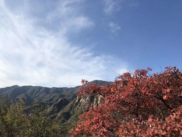΢ͼƬ_20191029111849.jpg